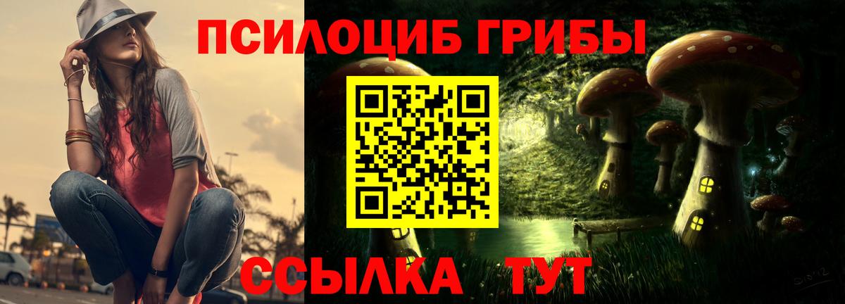 Галлюциногенные грибы прущие грибы Кирово-Чепецк